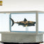 Jaws Maquette 1/18 Bronzo 60 cm - Elite Creature Collectibles