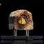 The Lost World: Jurassic Park - Replica Bust Occhio di Velociraptor Maschio 23 cm - Elite Creature Collectibles