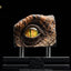 The Lost World: Jurassic Park - Replica Bust Occhio di Velociraptor Maschio 23 cm - Elite Creature Collectibles