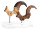 Jurassic Park Statua Velociraptor Artiglio del Piede e Artiglio Fossile Elite Creature Collectibles 20 cm