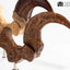 Jurassic Park Statua Velociraptor Artiglio del Piede e Artiglio Fossile Elite Creature Collectibles 20 cm