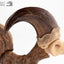 Jurassic Park Statua Velociraptor Artiglio del Piede e Artiglio Fossile Elite Creature Collectibles 20 cm