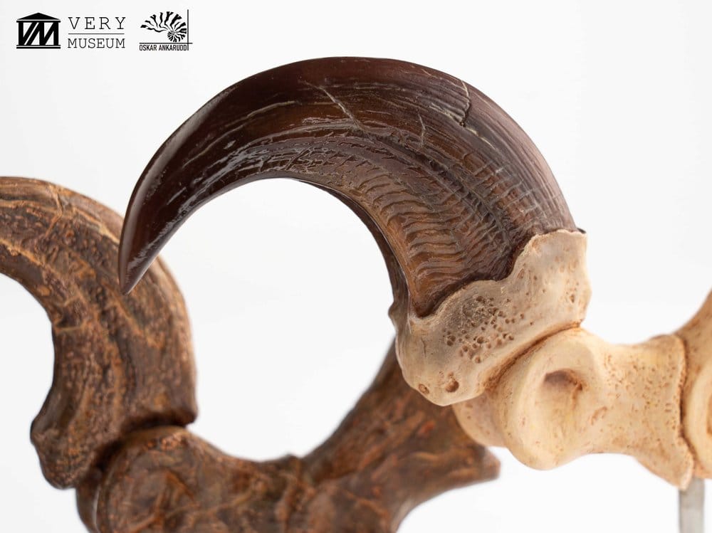 Jurassic Park Statua Velociraptor Artiglio del Piede e Artiglio Fossile Elite Creature Collectibles 20 cm