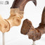 Jurassic Park Statua Velociraptor Artiglio del Piede e Artiglio Fossile Elite Creature Collectibles 20 cm
