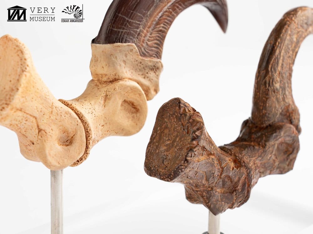 Jurassic Park Statua Velociraptor Artiglio del Piede e Artiglio Fossile Elite Creature Collectibles 20 cm