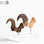Jurassic Park Statua Velociraptor Artiglio del Piede e Artiglio Fossile Elite Creature Collectibles 20 cm