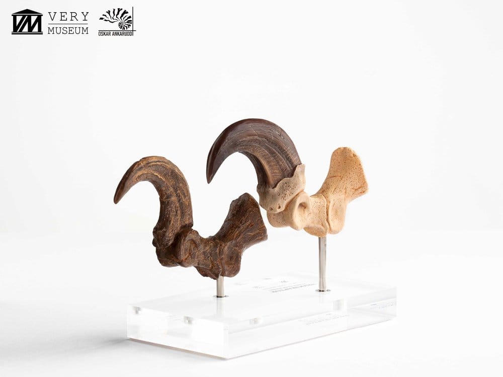 Jurassic Park Statua Velociraptor Artiglio del Piede e Artiglio Fossile Elite Creature Collectibles 20 cm