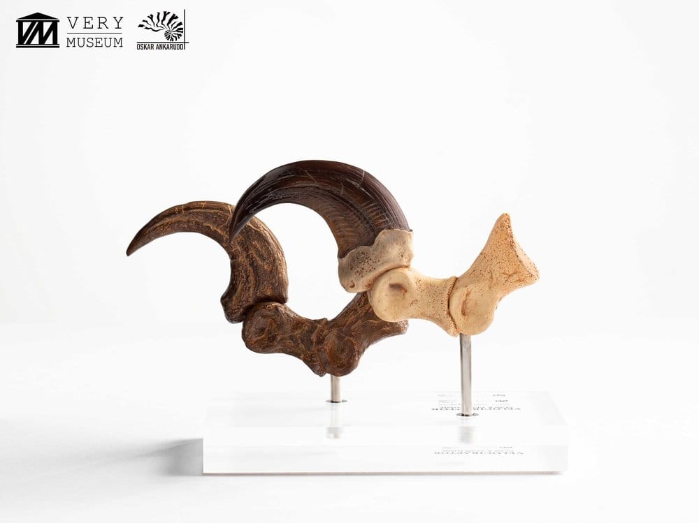 Jurassic Park Statua Velociraptor Artiglio del Piede e Artiglio Fossile Elite Creature Collectibles 20 cm