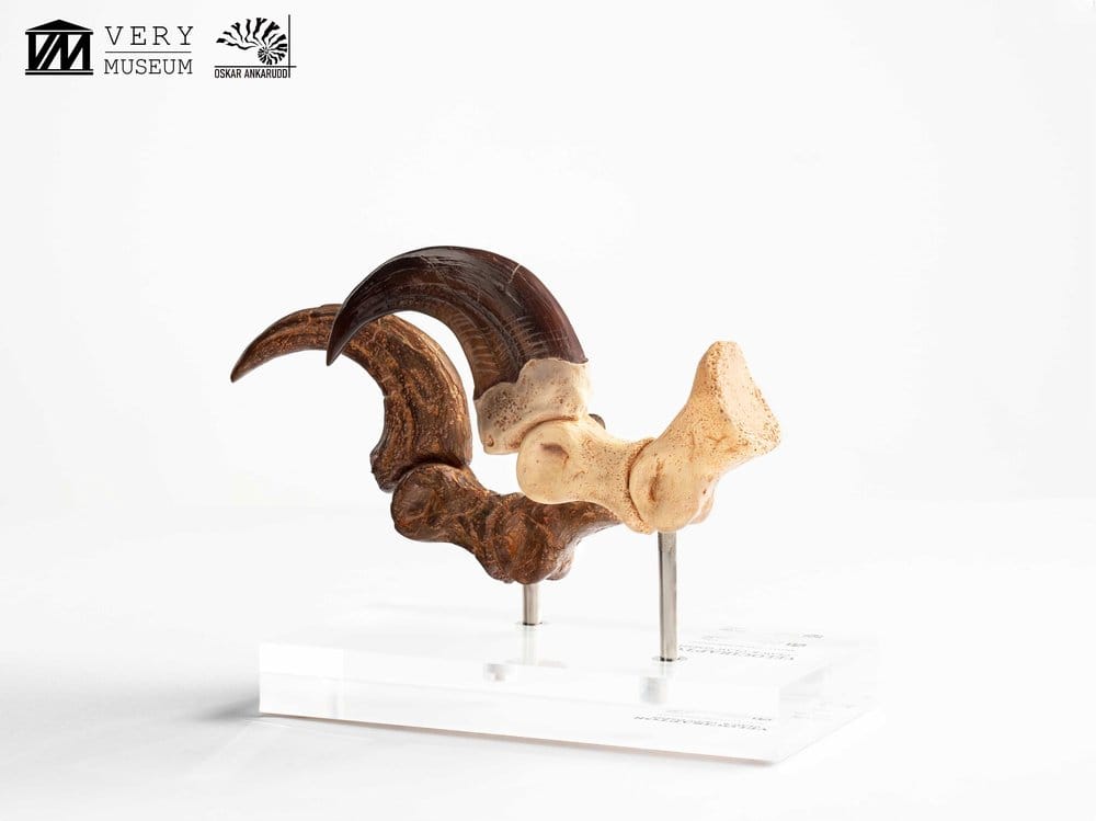 Jurassic Park Statua Velociraptor Artiglio del Piede e Artiglio Fossile Elite Creature Collectibles 20 cm