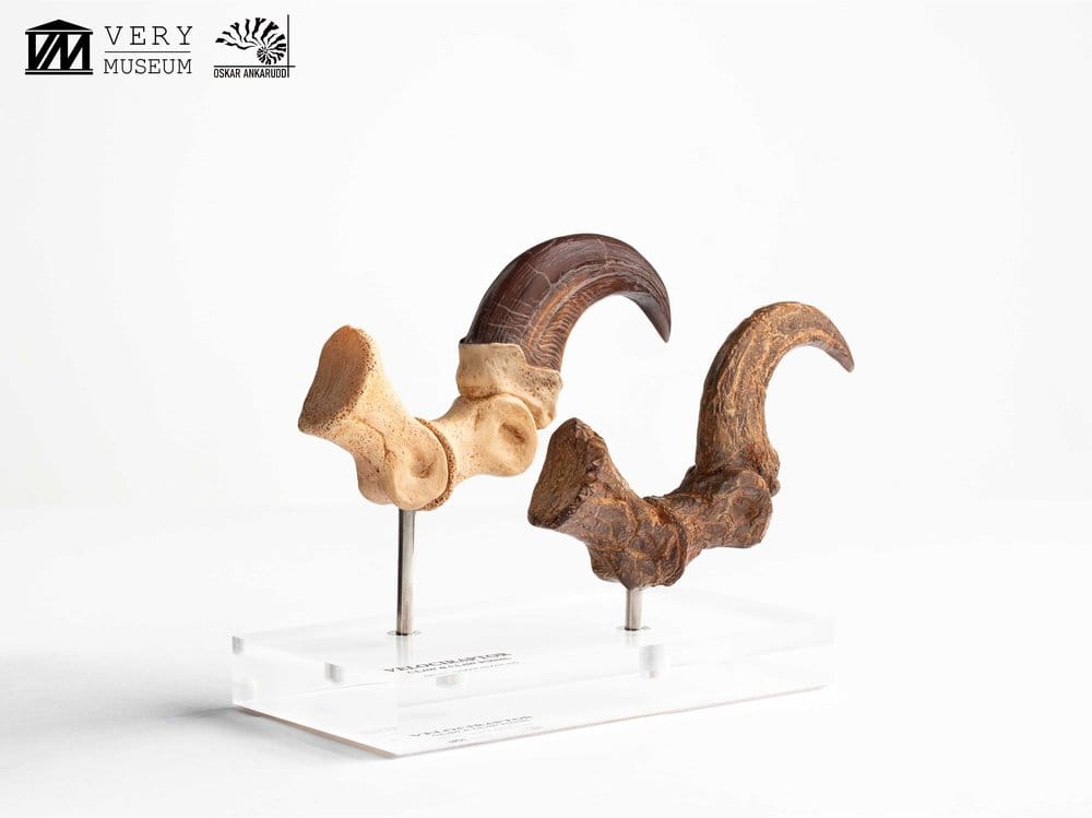 Jurassic Park Statua Velociraptor Artiglio del Piede e Artiglio Fossile Elite Creature Collectibles 20 cm