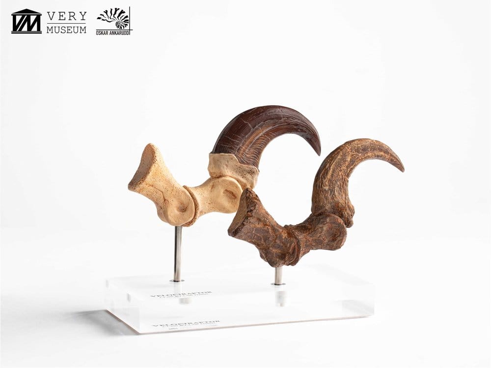 Jurassic Park Statua Velociraptor Artiglio del Piede e Artiglio Fossile Elite Creature Collectibles 20 cm