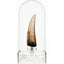 Jurassic Park III Replica 1/1 Dente di Spinosaurus 14 cm Elite Creature Collectibles