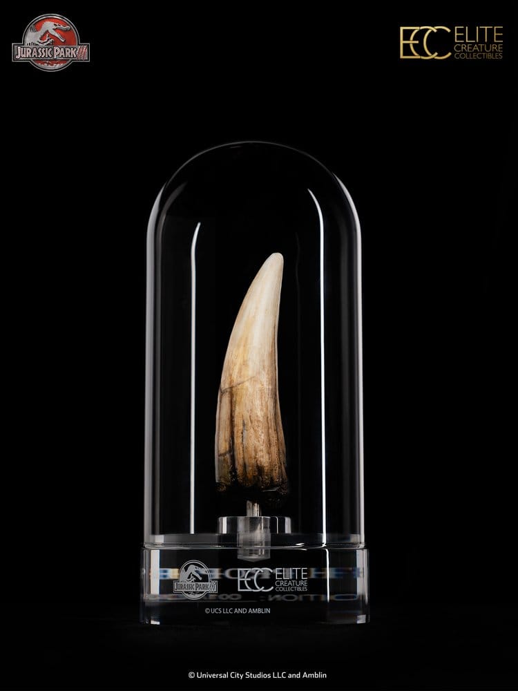 Jurassic Park III Replica 1/1 Dente di Spinosaurus 14 cm Elite Creature Collectibles