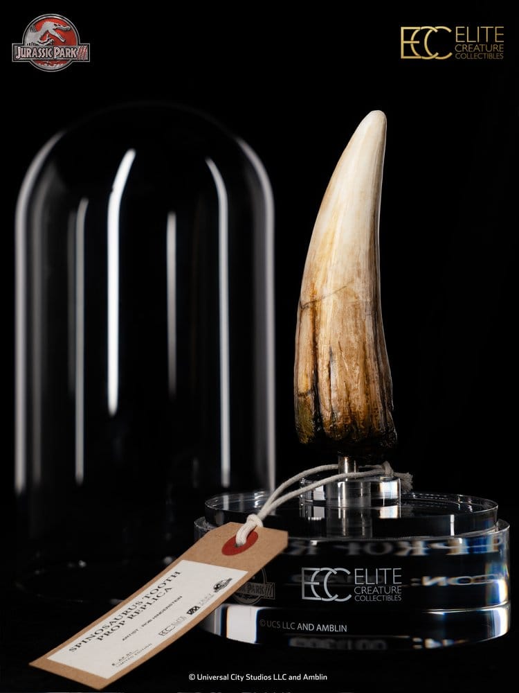 Jurassic Park III Replica 1/1 Dente di Spinosaurus 14 cm Elite Creature Collectibles