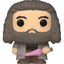 Funko Bitty POP! Harry Potter - Confezione da 2 mini figure in vinile Hagrid e Dobby, 2 cm