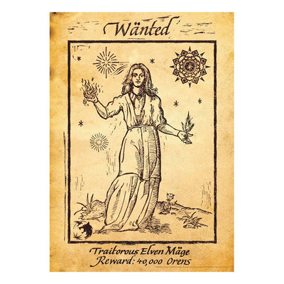 The Witcher – Stampa d'Arte in Edizione Limitata 42x30 cm – Fanattik