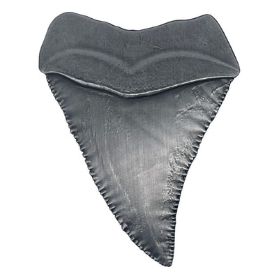 Jaws Medaglione 50° Anniversario Dente di Squalo – Fanattik
