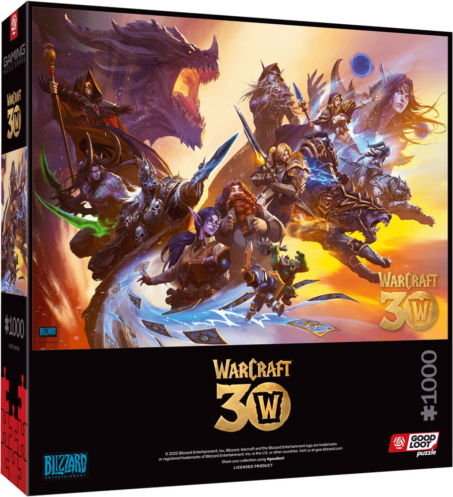 World of Warcraft Puzzle 30th Anniversary (1000 pezzi) – Good Loot