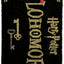 Zerbino Harry Potter Alohomora 40 x 60 cm Pyramid International