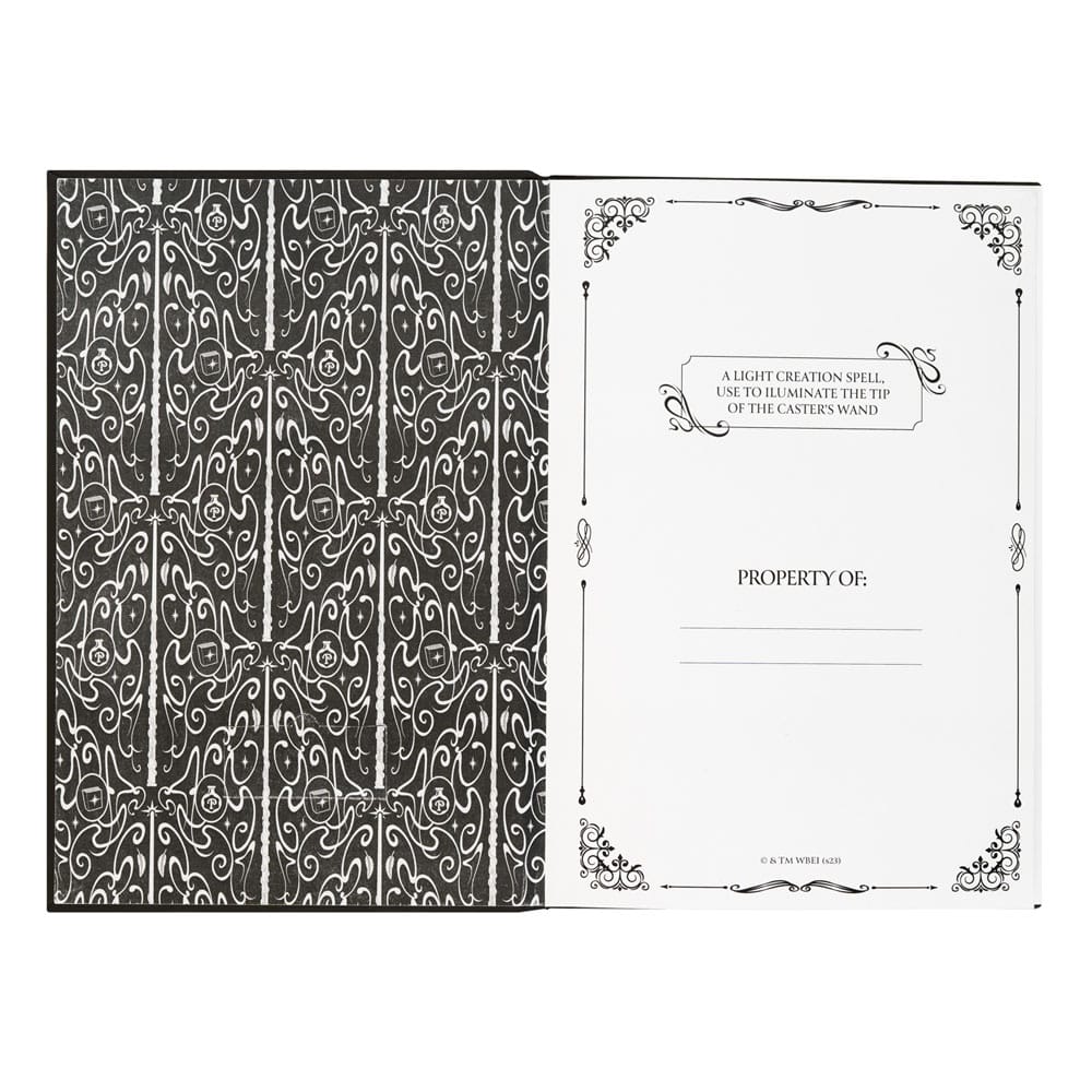 Harry Potter Premium Notebook A5 con Luce Lumos Maxima - Grupo Erik