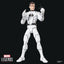 Hasbro Marvel Legends Future Foundation Mister Fantastic & Spider-Man Action Figure 2-Pack 15 cm