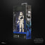 Star Wars The Mandalorian & Grogu Action Figure Black Series Stormtrooper dell'Impero Residuo 15 cm Hasbro
