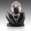Busto a grandezza naturale Xenomorph Scorched da Alien: Romulus 53 cm - Hollywood Collectibles Group