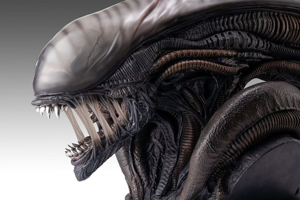 Busto a grandezza naturale Xenomorph Scorched da Alien: Romulus 53 cm - Hollywood Collectibles Group
