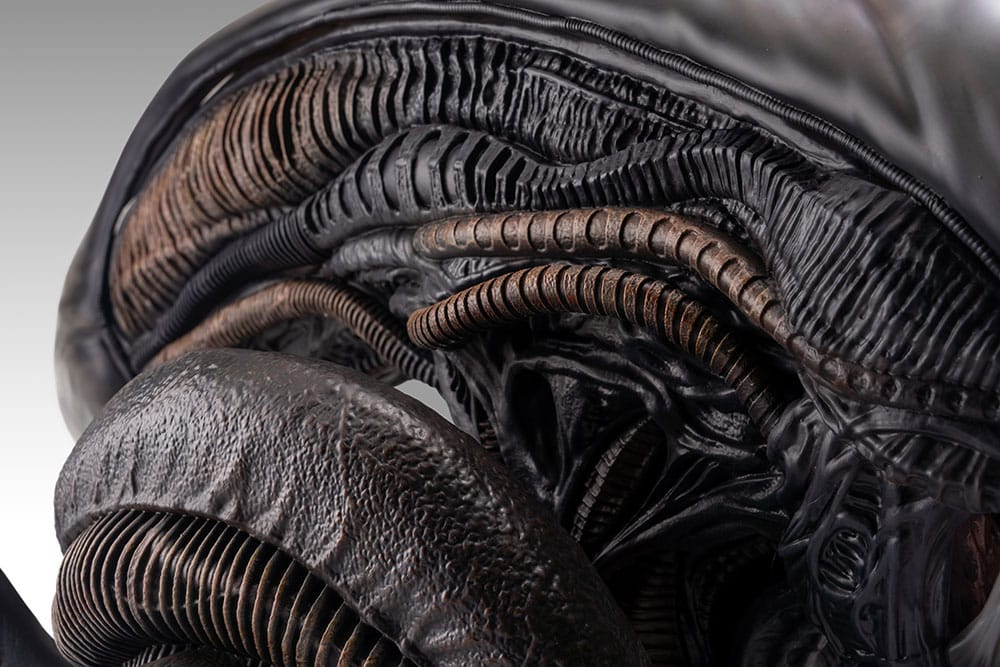 Busto a grandezza naturale Xenomorph Scorched da Alien: Romulus 53 cm - Hollywood Collectibles Group