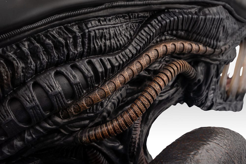 Busto a grandezza naturale Xenomorph Scorched da Alien: Romulus 53 cm - Hollywood Collectibles Group