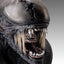 Busto a grandezza naturale Xenomorph Scorched da Alien: Romulus 53 cm - Hollywood Collectibles Group
