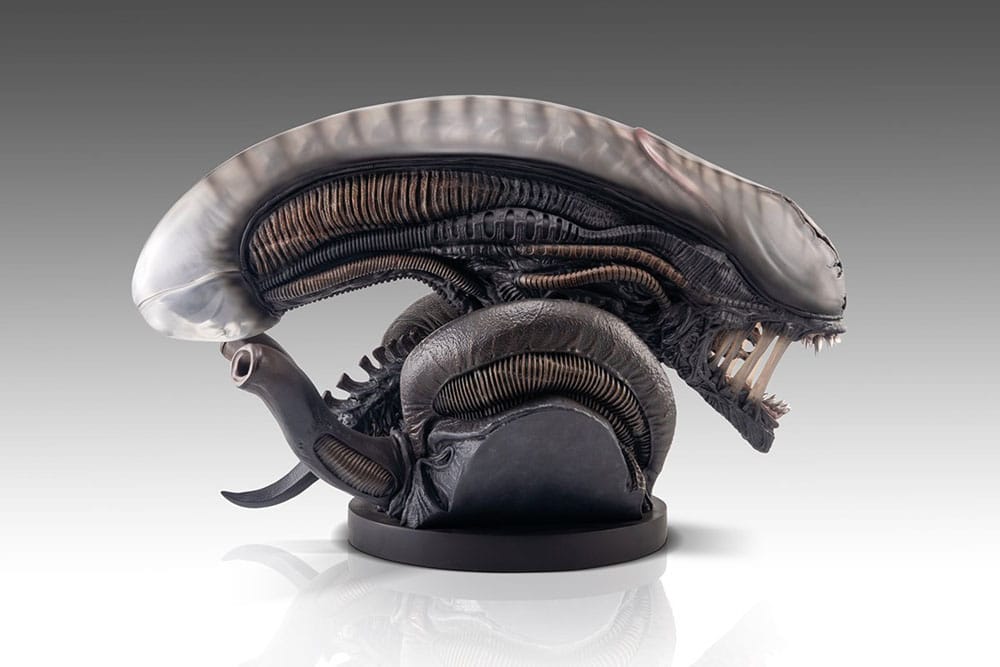 Busto a grandezza naturale Xenomorph Scorched da Alien: Romulus 53 cm - Hollywood Collectibles Group