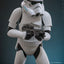 Star Wars: Rebels Action Figure 1/6 Stormtrooper 28 cm Hono Studio