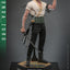 One Piece (Netflix) Action Figure 1/6 Roronoa Zoro 31 cm Hot Toys