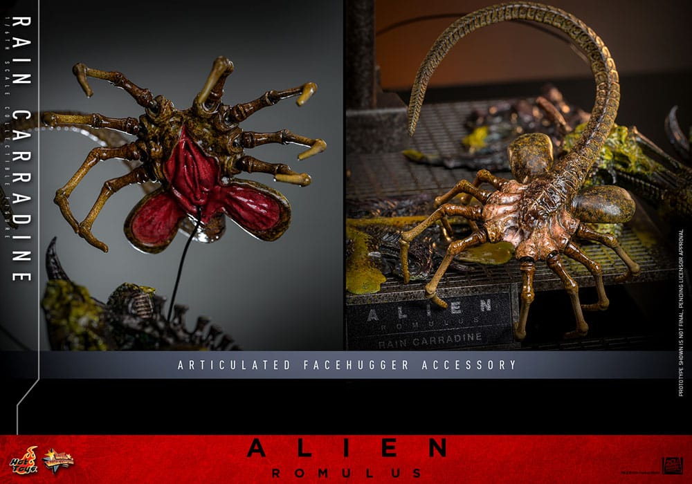 Alien: Romulus Action Figure 1/6 Rain Carradine 26 cm Hot Toys