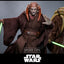 Star Wars: Episodio III - La Vendetta dei Sith Movie Masterpiece Action Figure 1/6 Saesee Tiin 31 cm Hot Toys