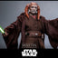 Star Wars: Episodio III - La Vendetta dei Sith Movie Masterpiece Action Figure 1/6 Saesee Tiin 31 cm Hot Toys
