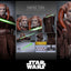 Star Wars: Episodio III - La Vendetta dei Sith Movie Masterpiece Action Figure 1/6 Saesee Tiin 31 cm Hot Toys