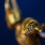 Statua Saint Seiya Capricorn Shura Art Scale 1/10 Iron Studios 25 cm