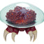 World of Nintendo Metroid Prime Action Figure Metroid Ultraviolet Glow 15 cm – Jakks Pacific