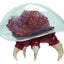 World of Nintendo Metroid Prime Action Figure Metroid Ultraviolet Glow 15 cm – Jakks Pacific