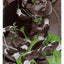 Tartarughe Ninja Page Punchers Action Figure Donatello (Black White & Green) (Red Platinum Edition) 13 cm