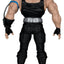 Action Figure DC Multiverse Bane (Knightfall) Gold Label 24 cm McFarlane Toys