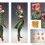 Action Figure JoJo's Bizarre Adventure Chozokado Noriaki Kakyoin 15 cm Medicos Entertainment