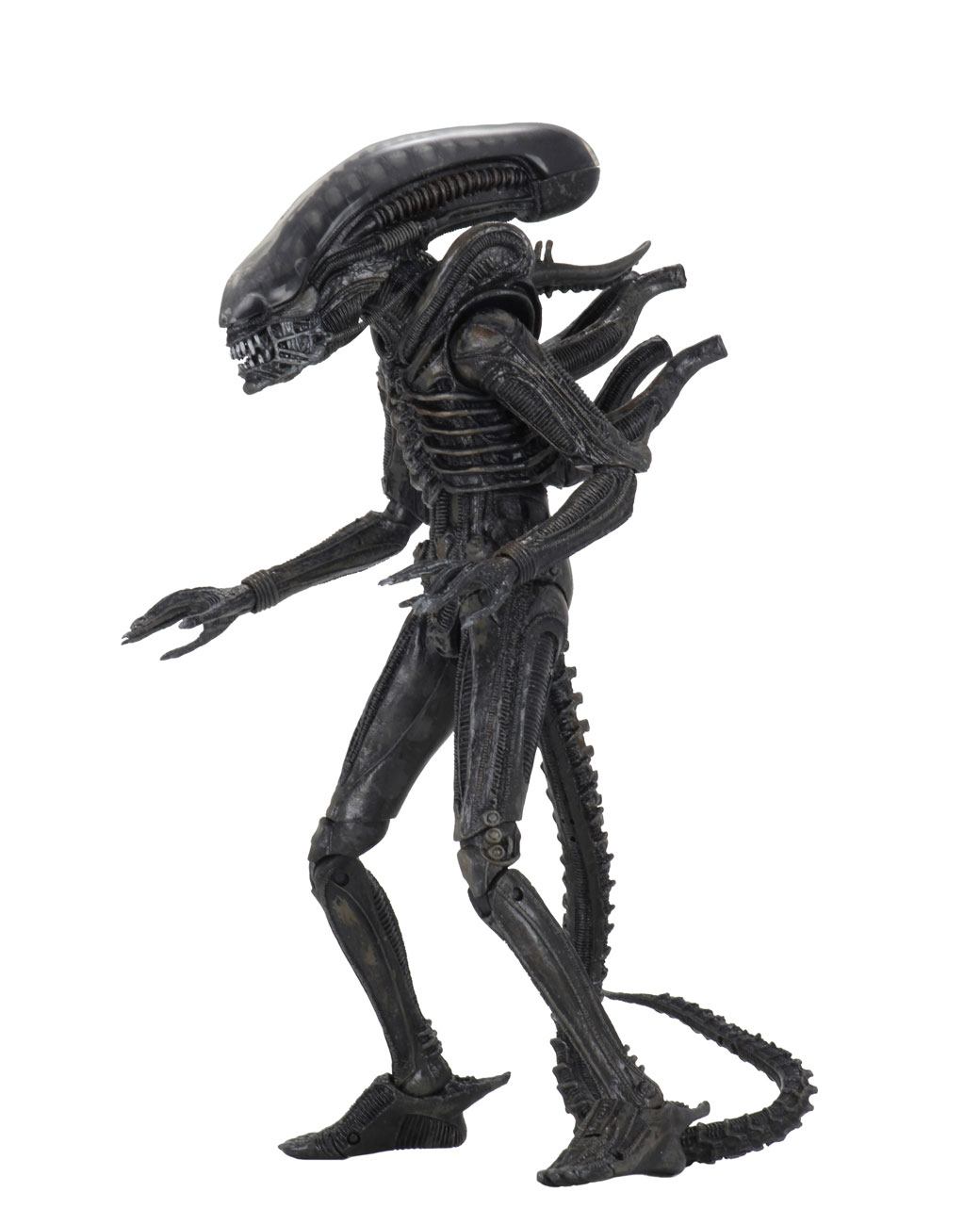 Alien 1979 Action Figure Ultimate 40th Anniversary Big Chap 23 cm NECA
