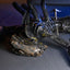 Alien: Romulus Action Figure Deluxe - Xenomorph XX121 Sospeso in Laboratorio 18 cm NECA