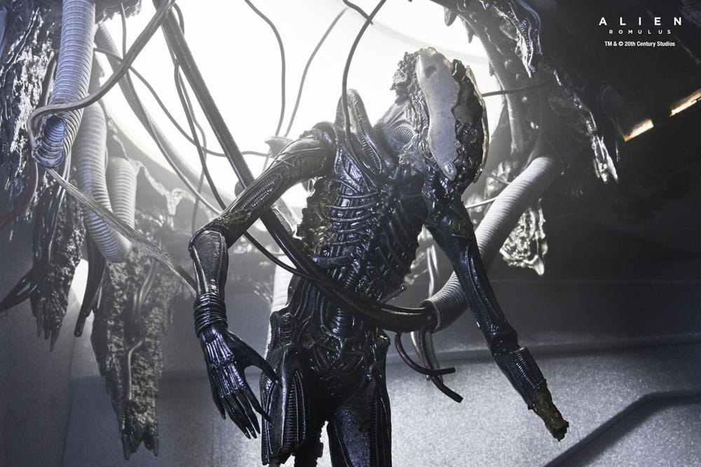 Alien: Romulus Action Figure Deluxe - Xenomorph XX121 Sospeso in Laboratorio 18 cm NECA