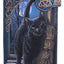 Lisa Parker A Brush With Magick – Portafoglio goffrato 19 cm