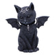Statuetta Cult Cuties Malpuss Gatto Alato con Teschi e Pentagrammi Nemesis Now 10 cm