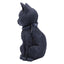 Statuetta Cult Cuties Malpuss Gatto Alato con Teschi e Pentagrammi Nemesis Now 10 cm